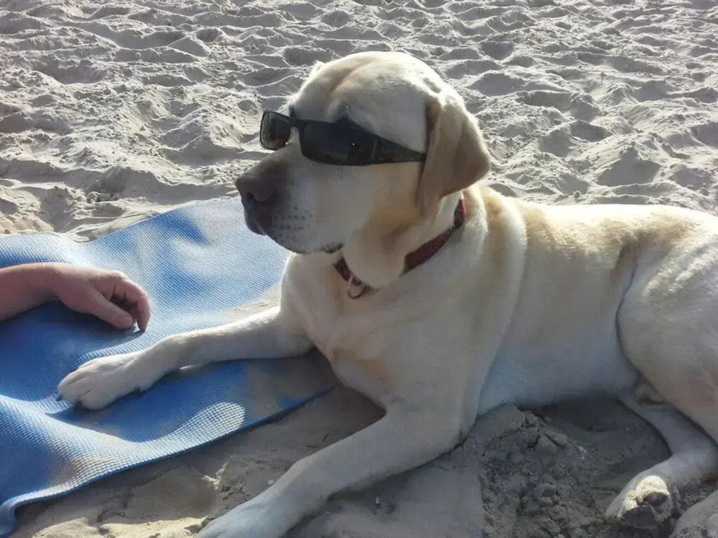 Coastal Love in Karlshagen