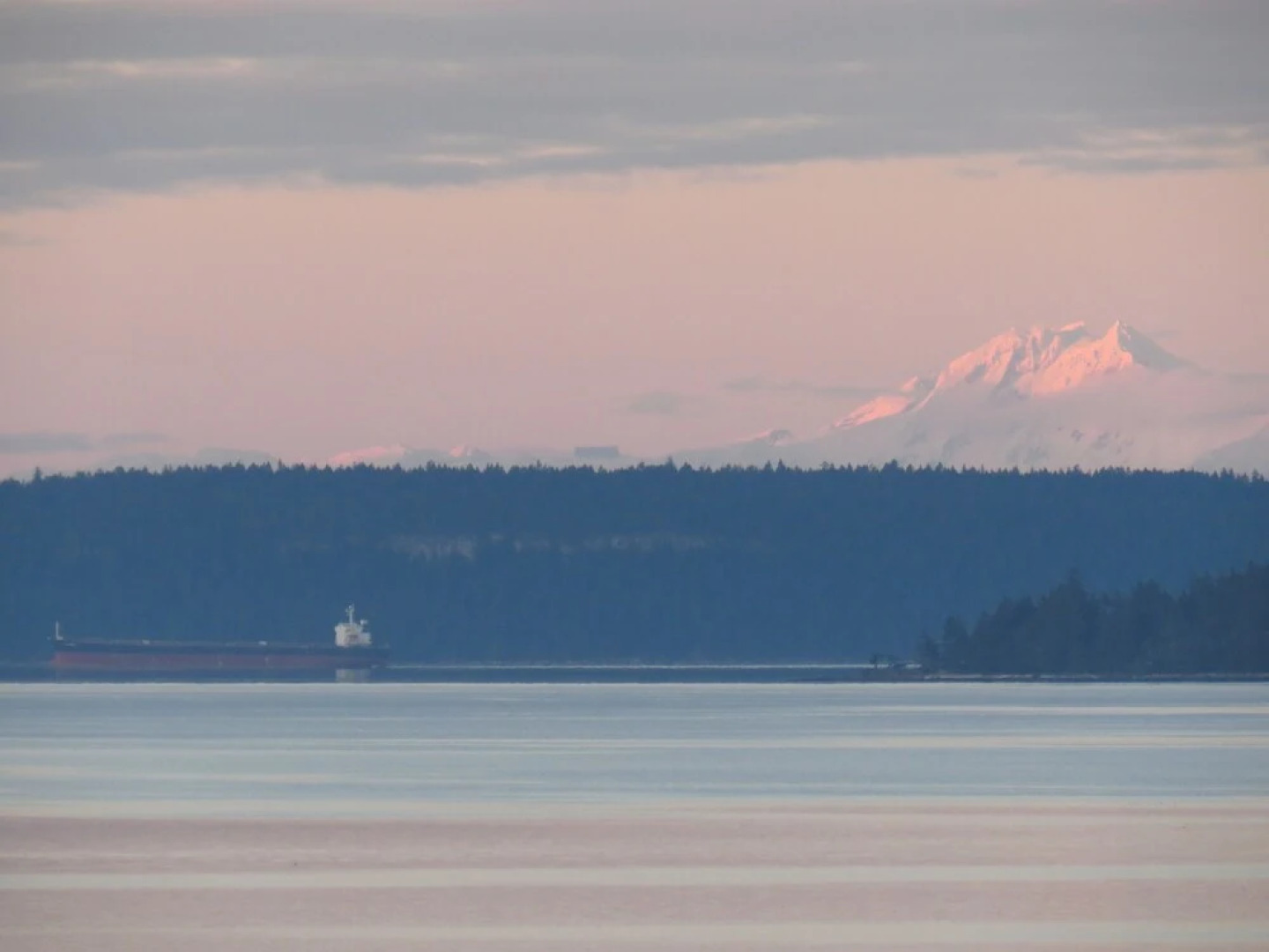 Coastal Lavender BnB