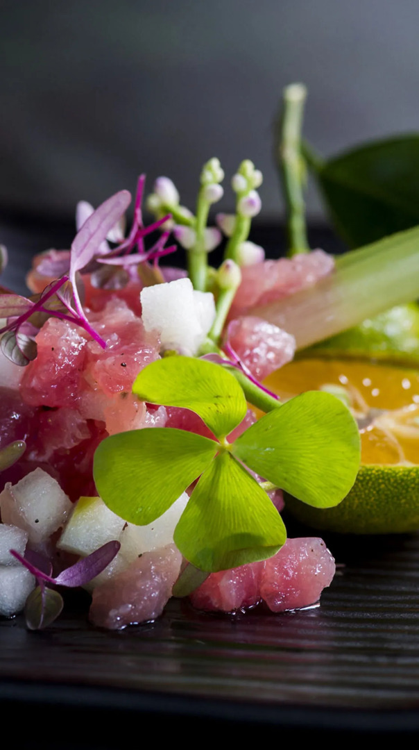 Chivitr Health & Rejuvenation