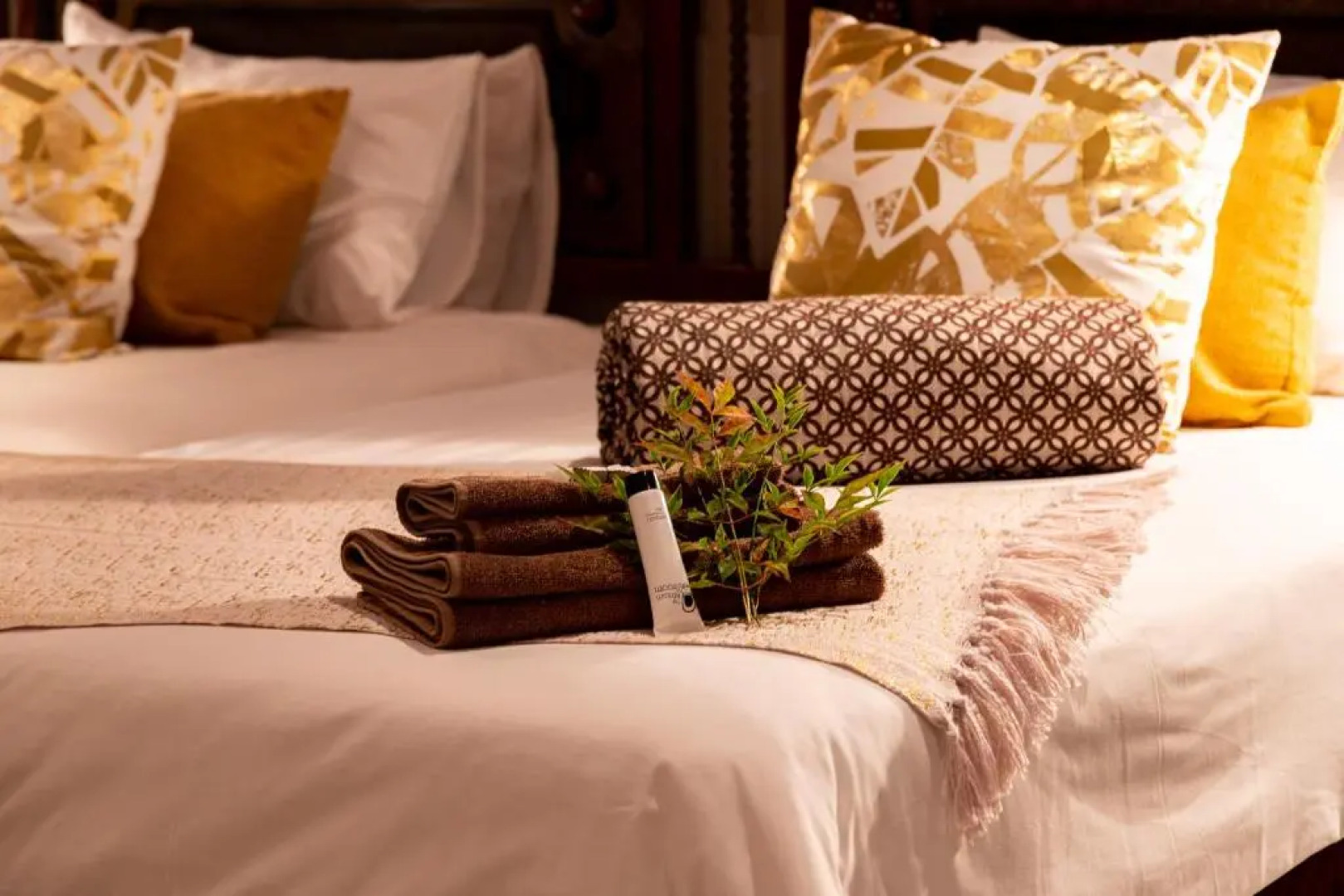 Out of Africa Town Lodge