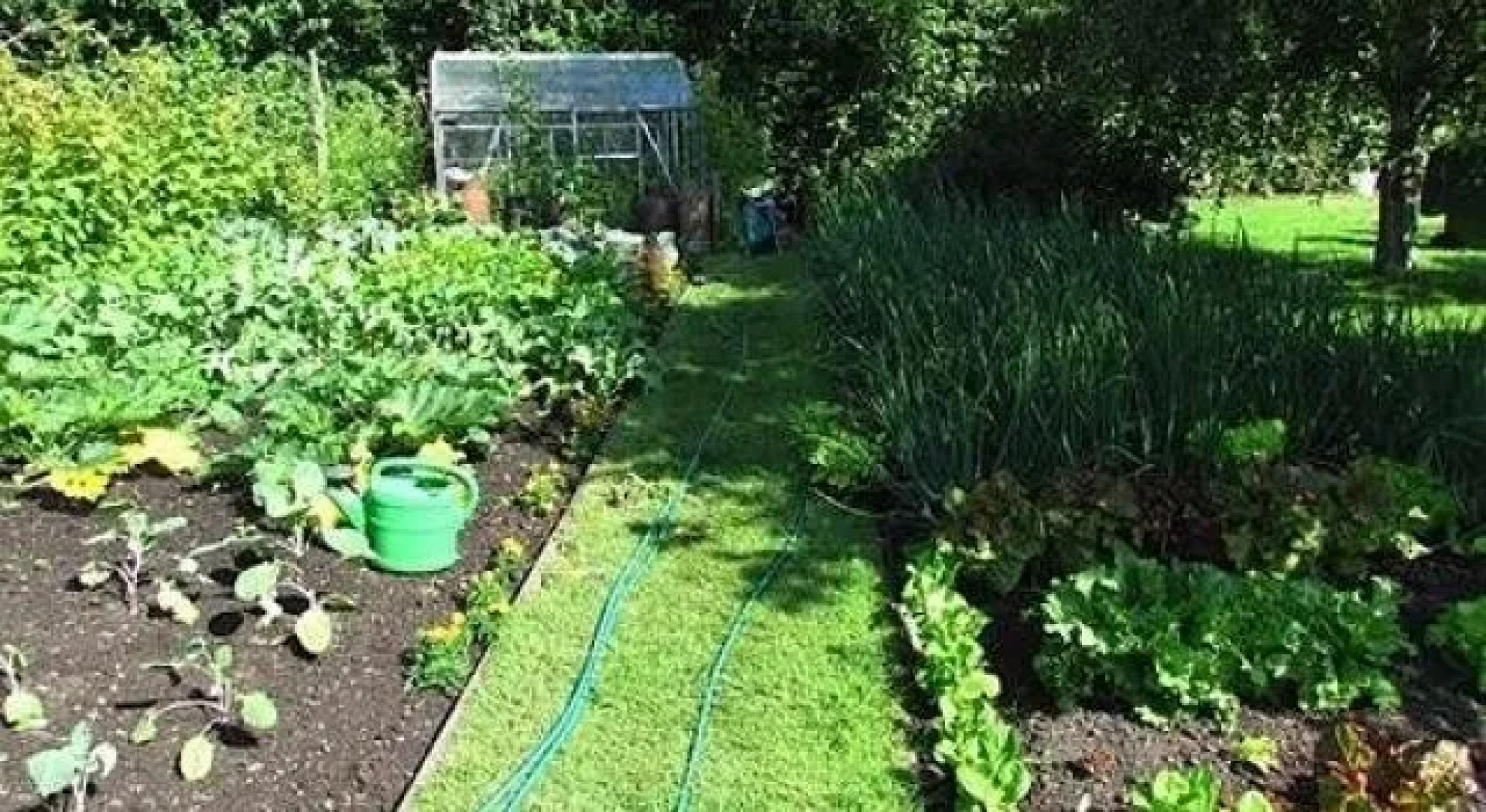 School Cottages BB  Self-Catering