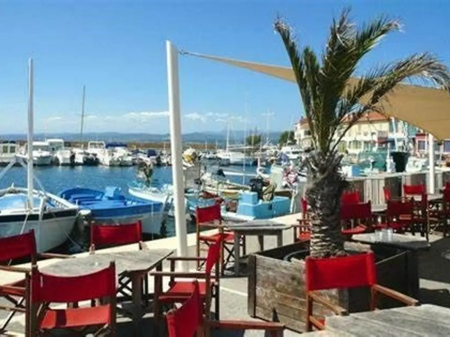 Appartement Six-Fours-les-Plages, 2 pièces, 4 personnes - FR-1-316-16