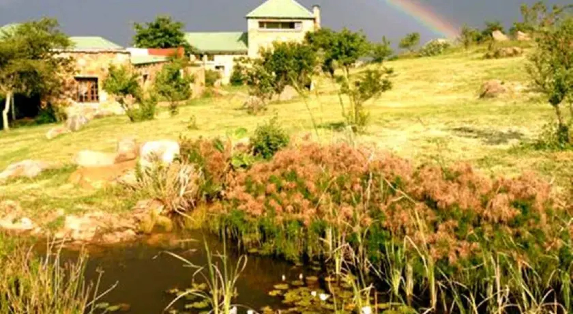 Five Assegais Country Estate