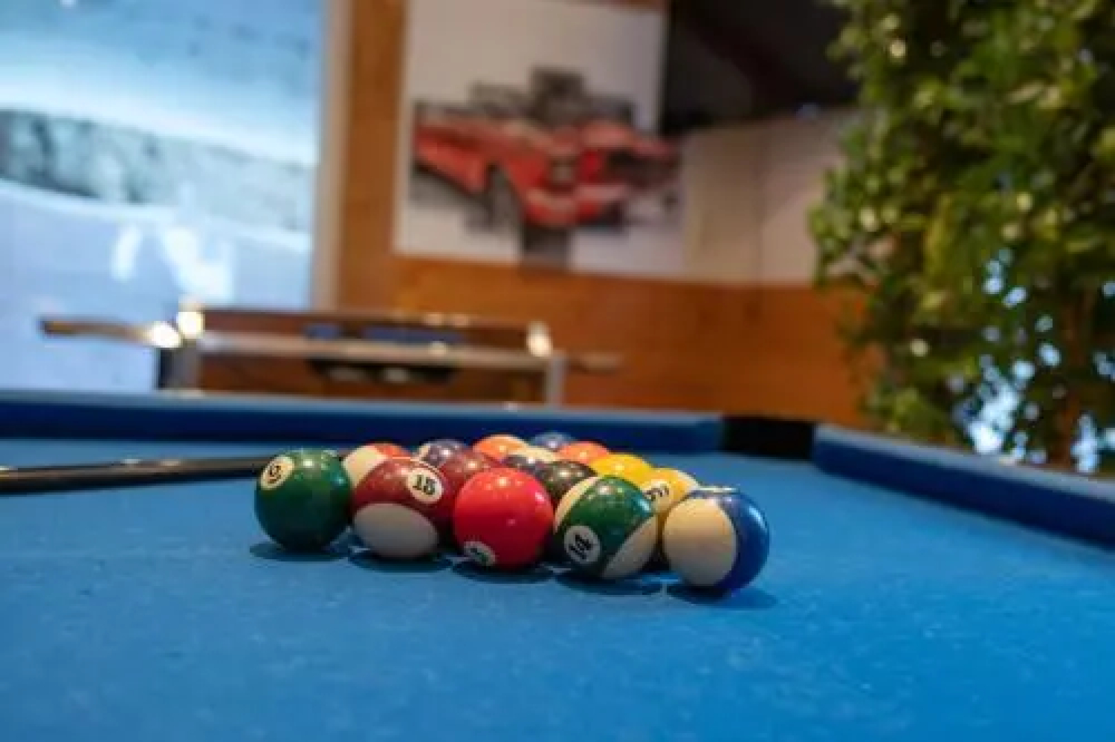 Hotel Alpina