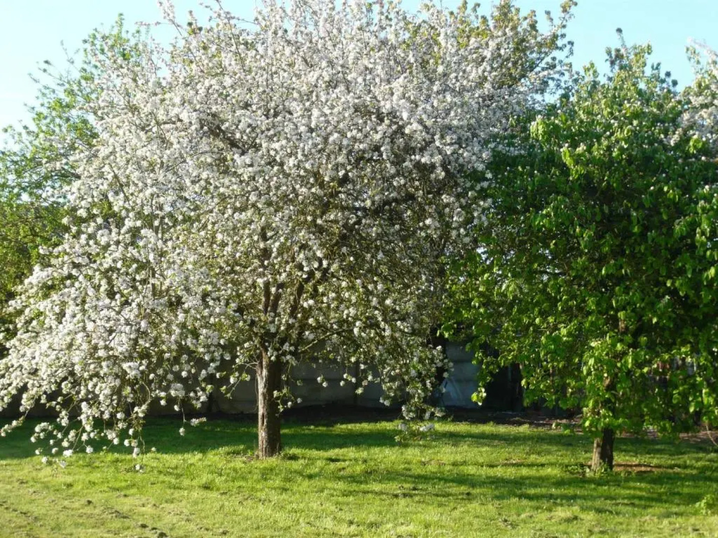Gîte Épieds-en-Beauce, 5 pièces, 8 personnes - FR-1-590-99