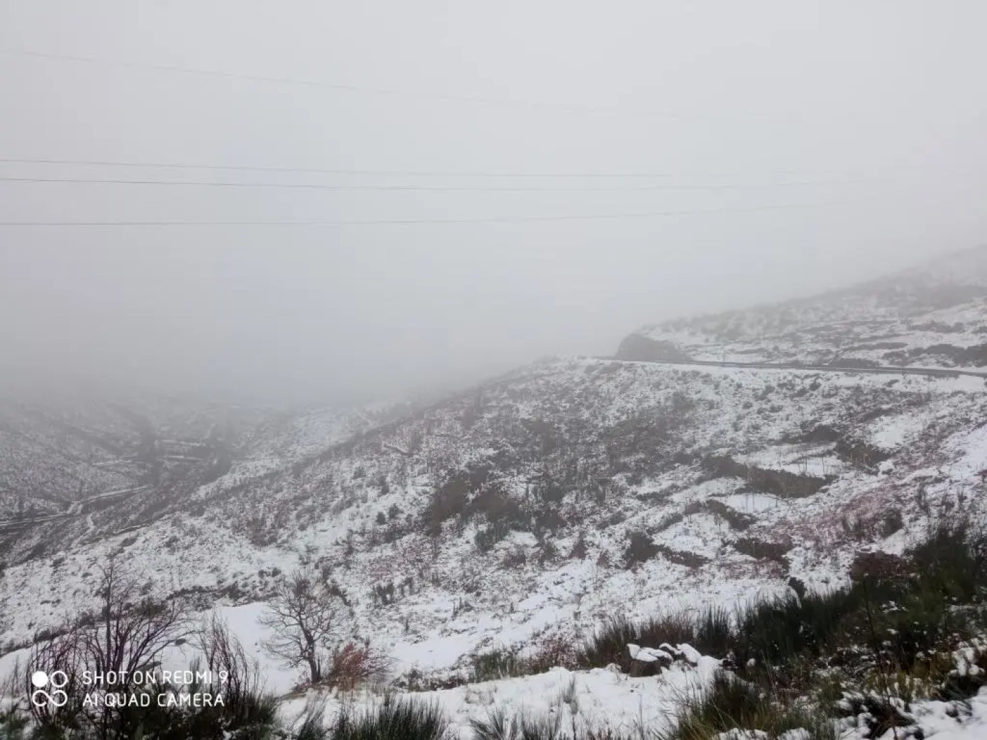 Azevinho Guest House