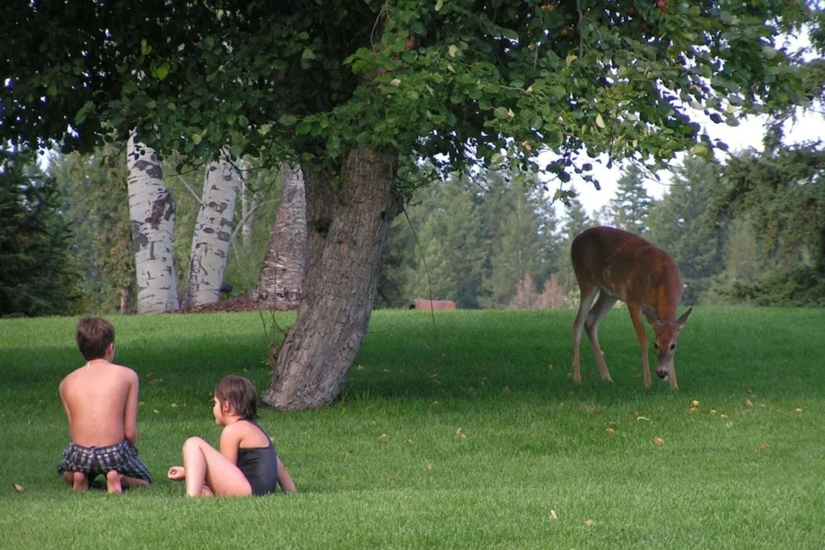 Mountain Harbor #216 3 Bedroom Condo
