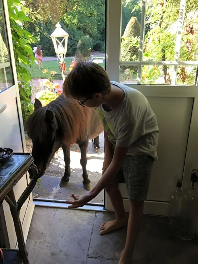 Château de Saint-Agoulin