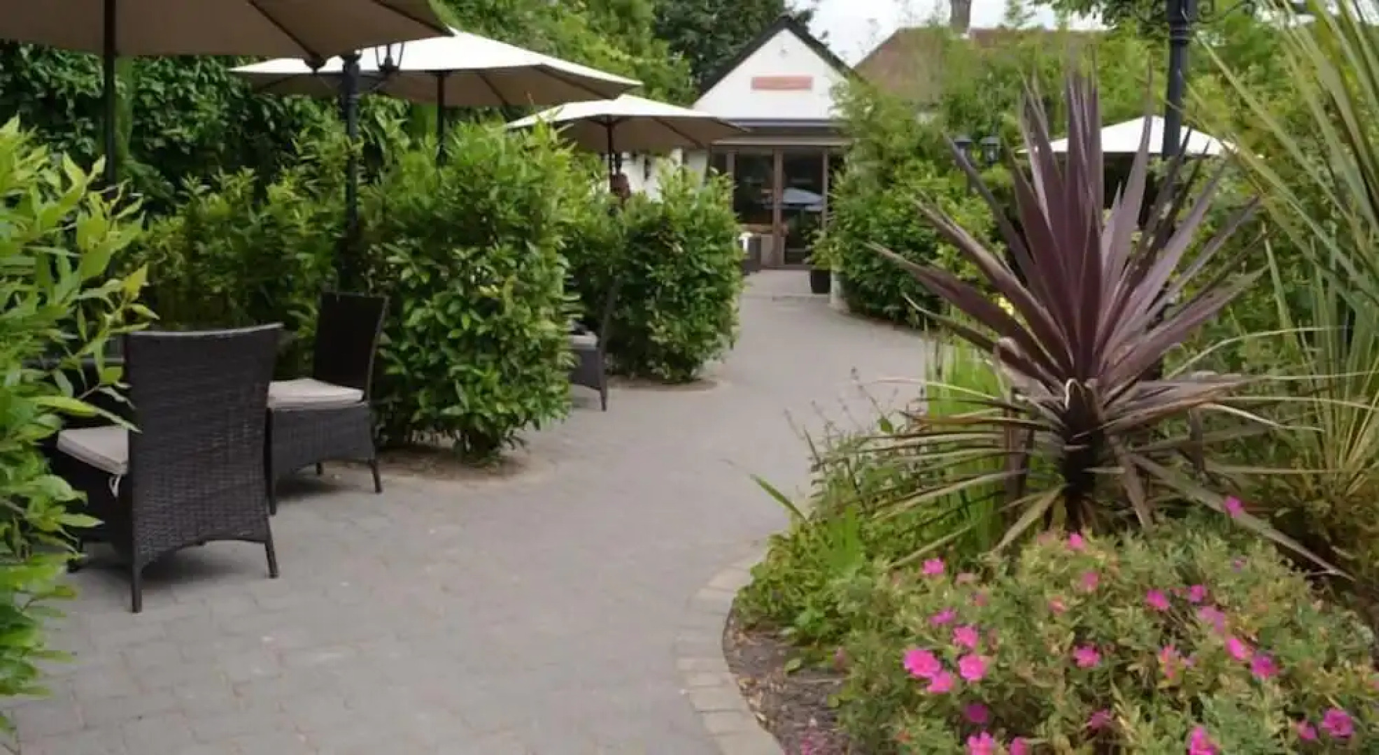 The Greyhound - Winterborne Kingston