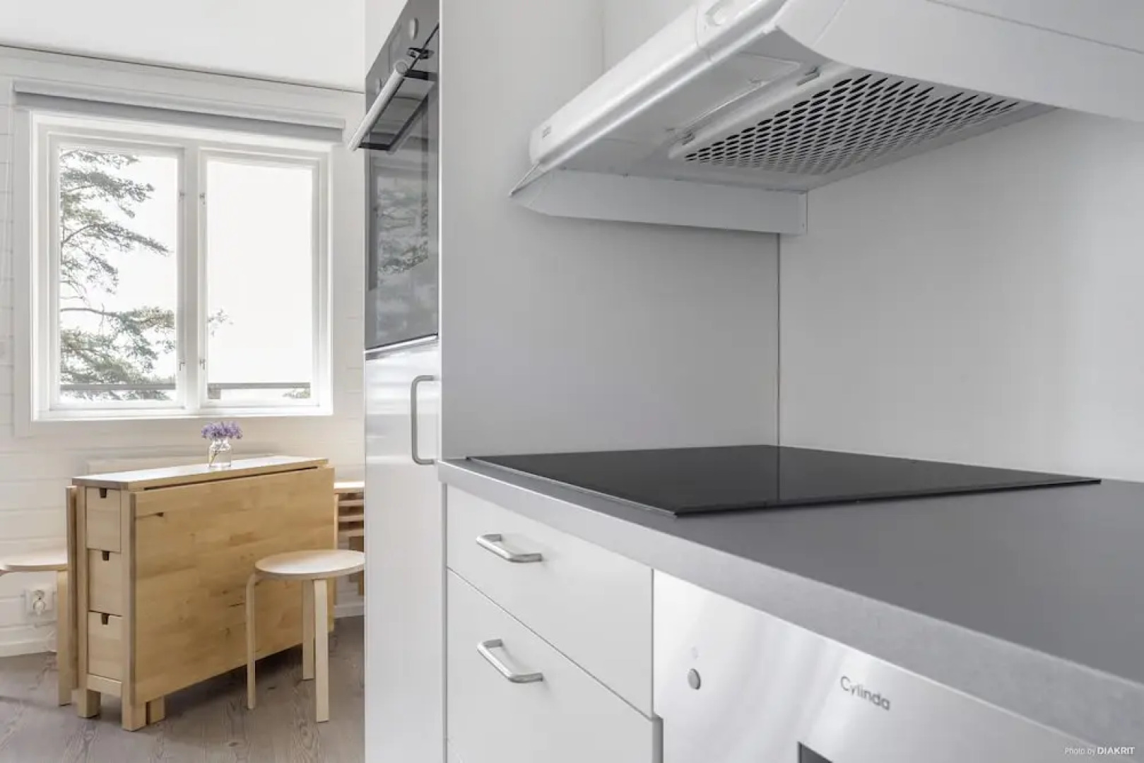 First Camp Kolmården