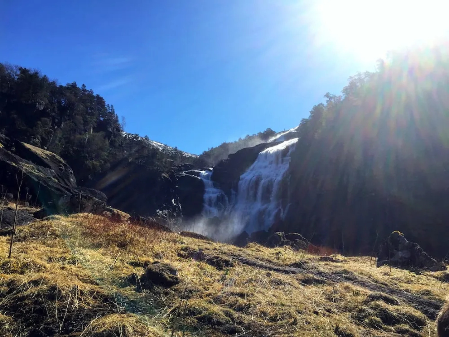 Mikkelparken Ferietun