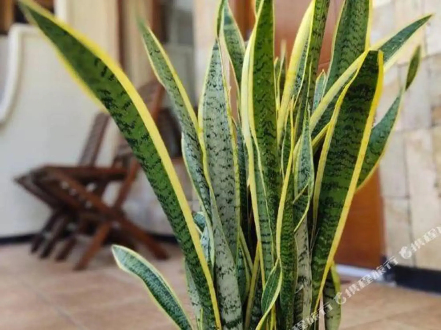 Pondok Asri 1 Pangandaran