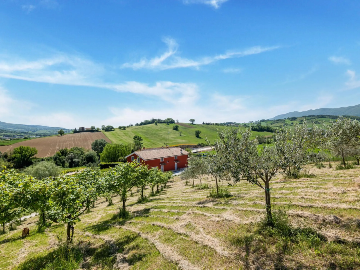 Rural apartment in Matelica with shared pool