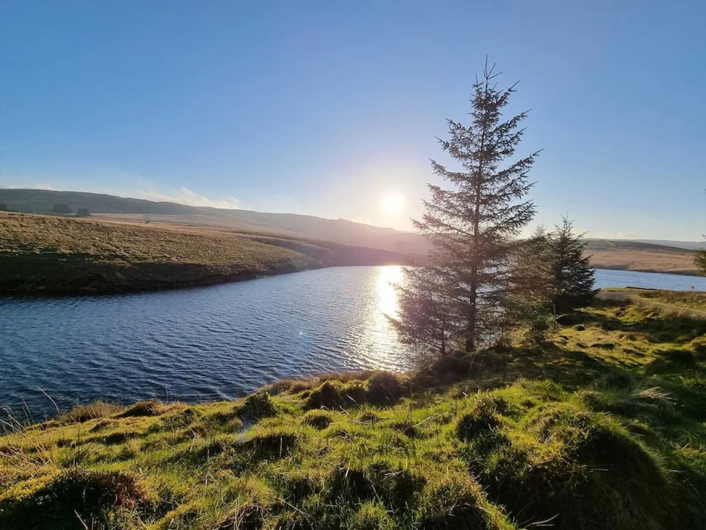 Forester's Retreat Glamping - Cambrian Mountains