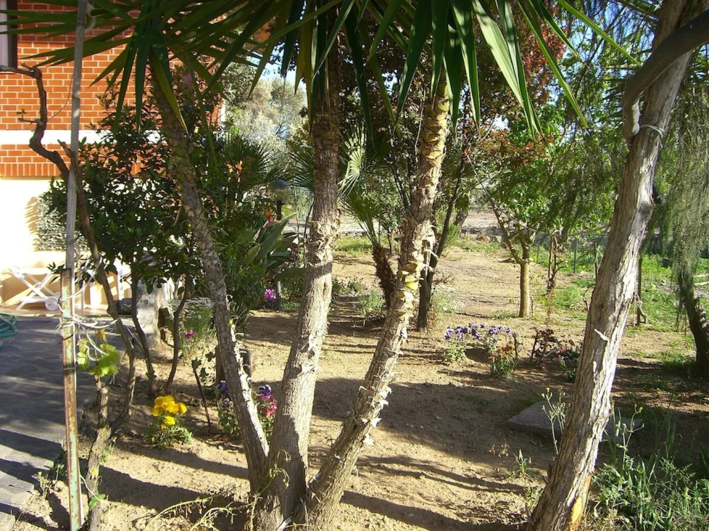 Sa Domu Sarda - Apartment With Terrace 2
