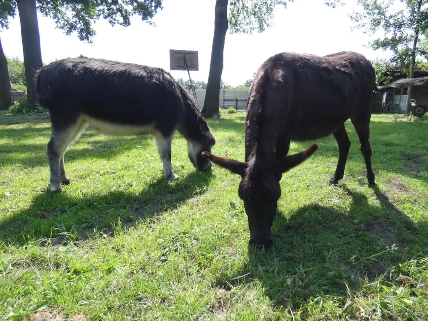 Ferienhof & Café Schnieder