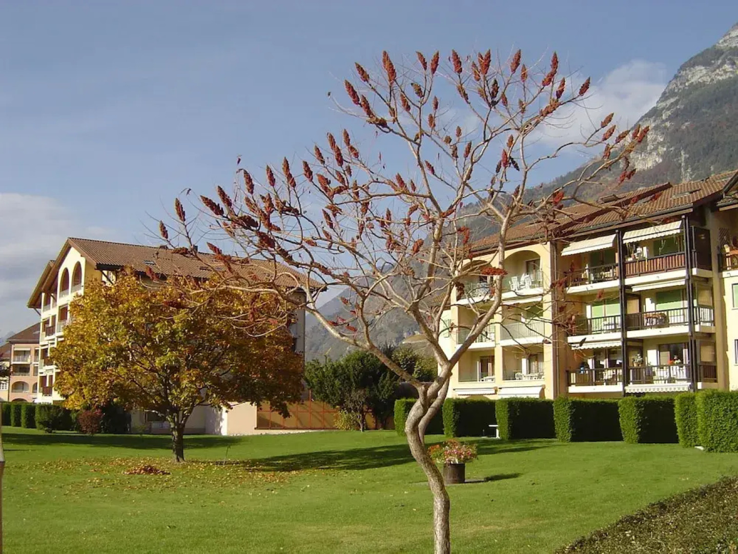 Saillon Evasion Sarl