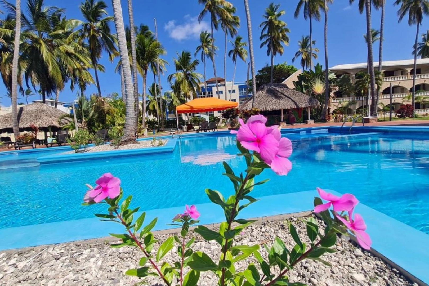 Hotel Cortecito Inn Bavaro