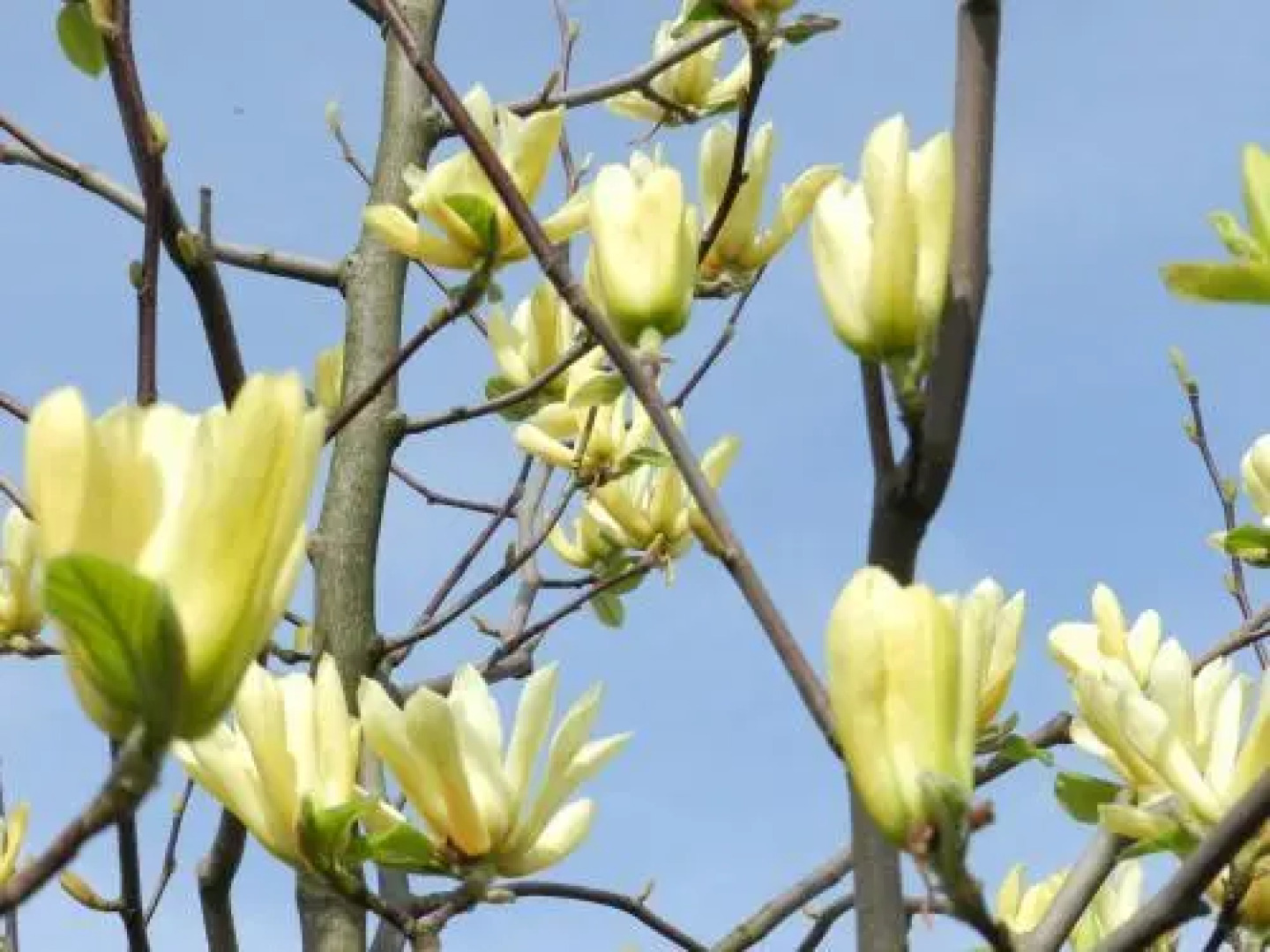 Serenity Bed and Breakfast