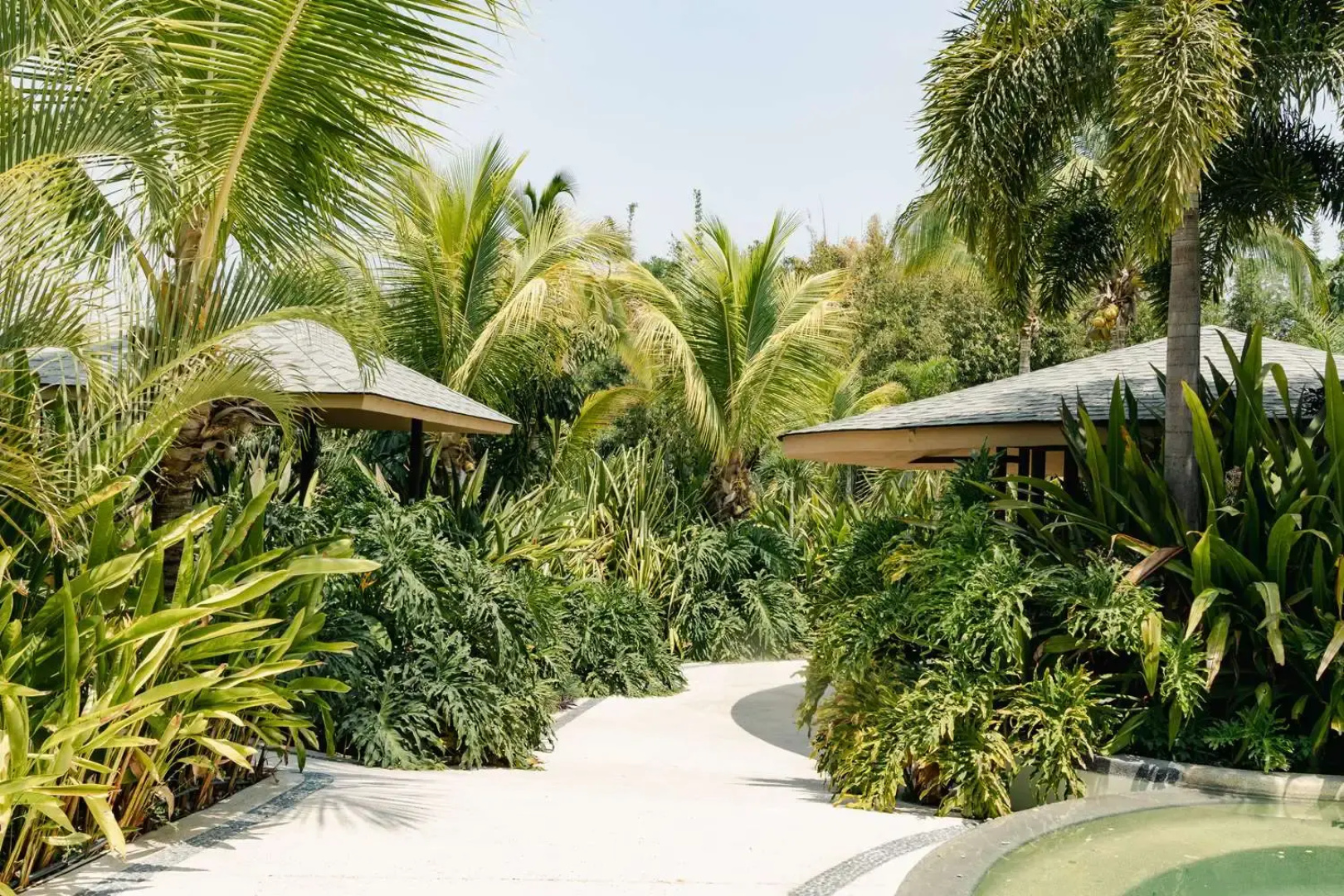 Soul Spring Sanctuary Cuernavaca