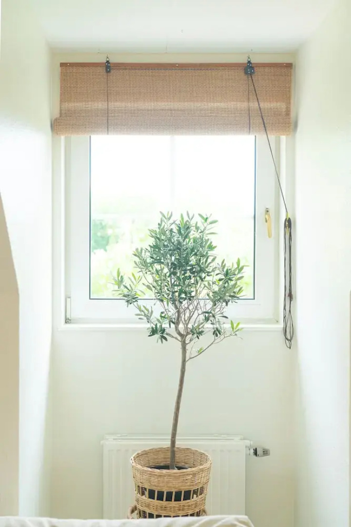 Falsterbo Beachside Apartments