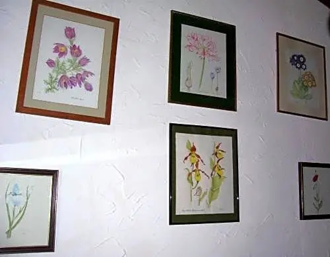 Chambres d'Hôtes les Chenes