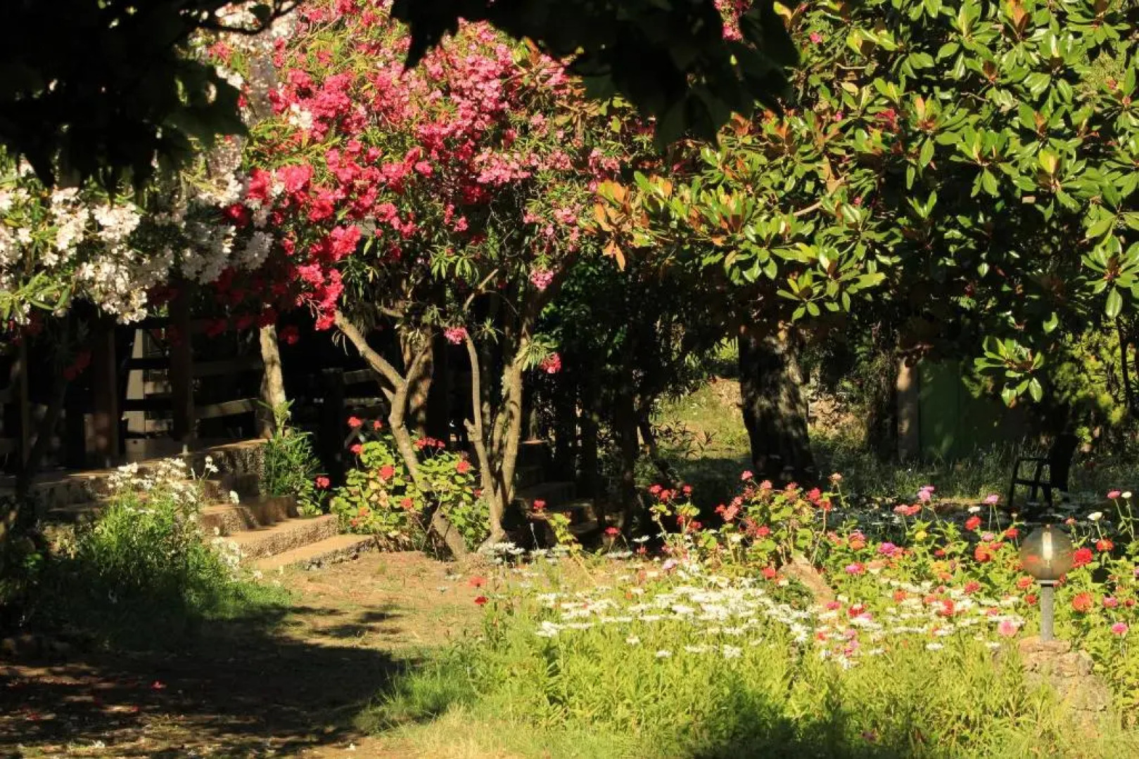 Résidence Marina Livia