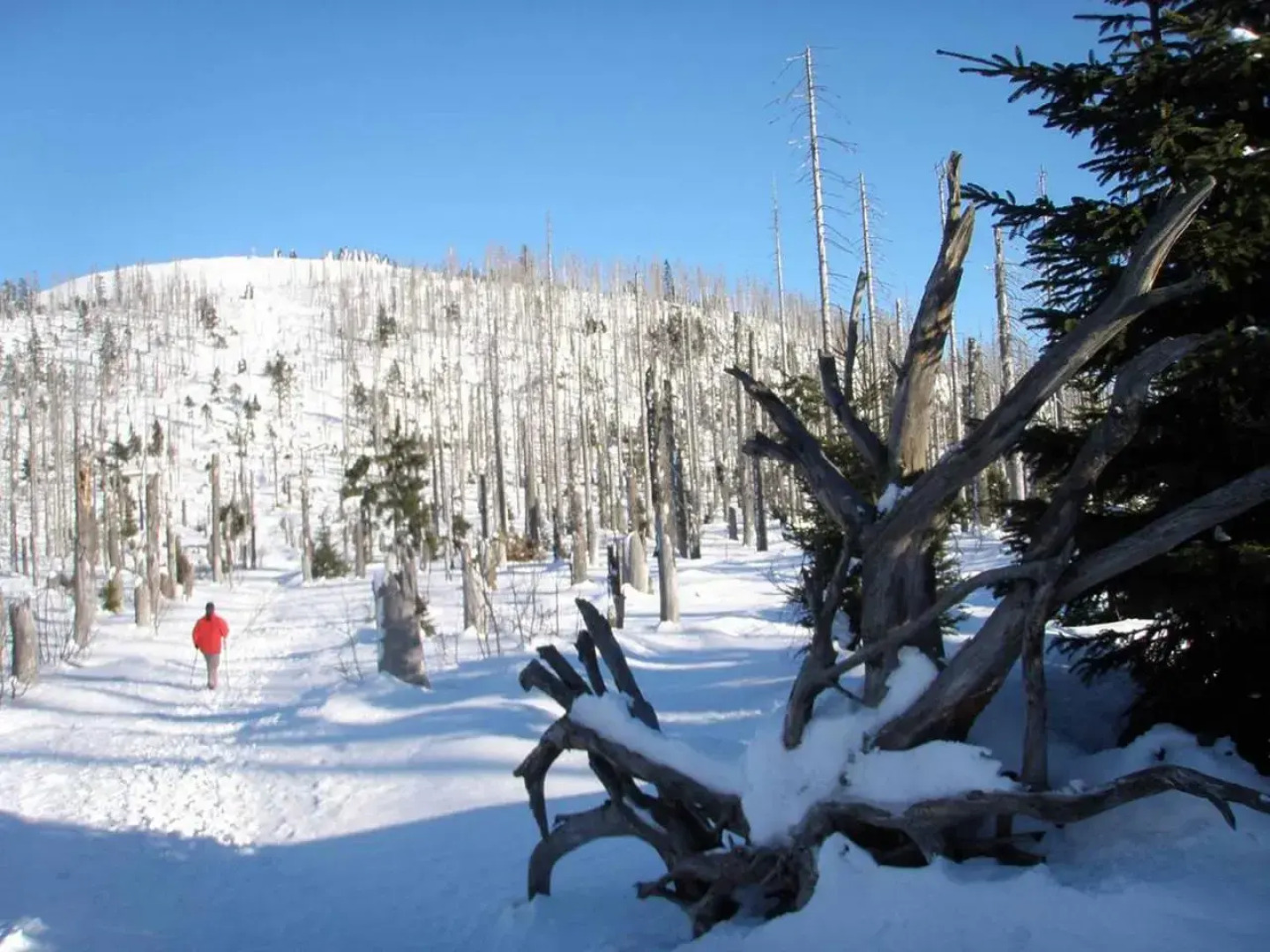 Pension Wï¿½rzbauer