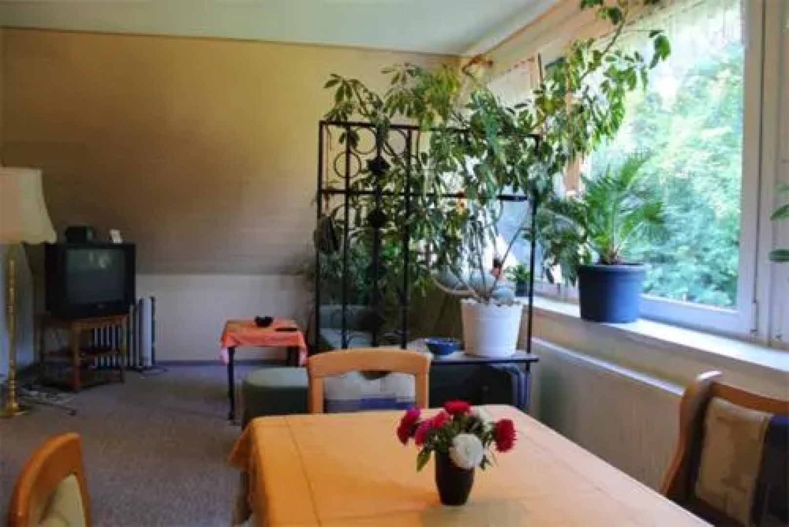 Ferienwohnung Lychen UCK 971