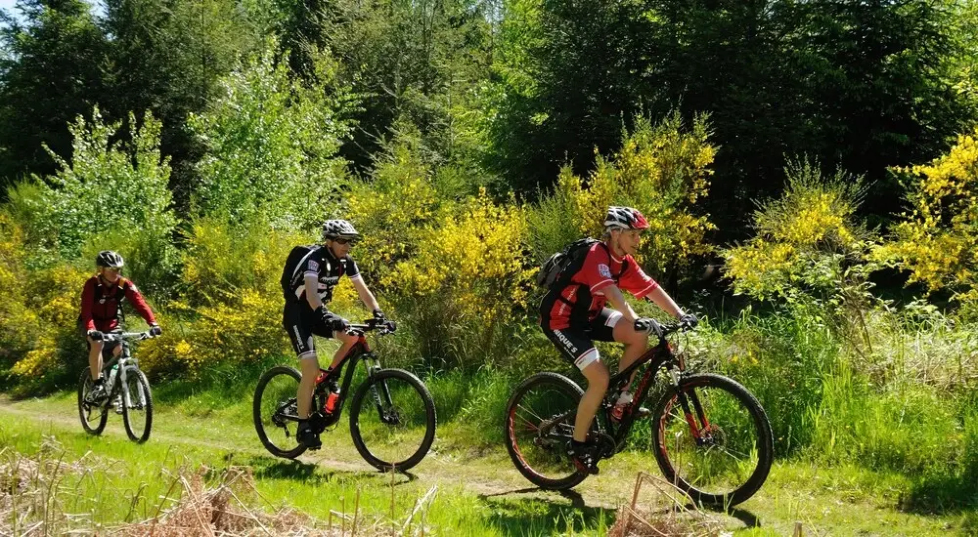 Trail-Inn Natur & Sporthotel