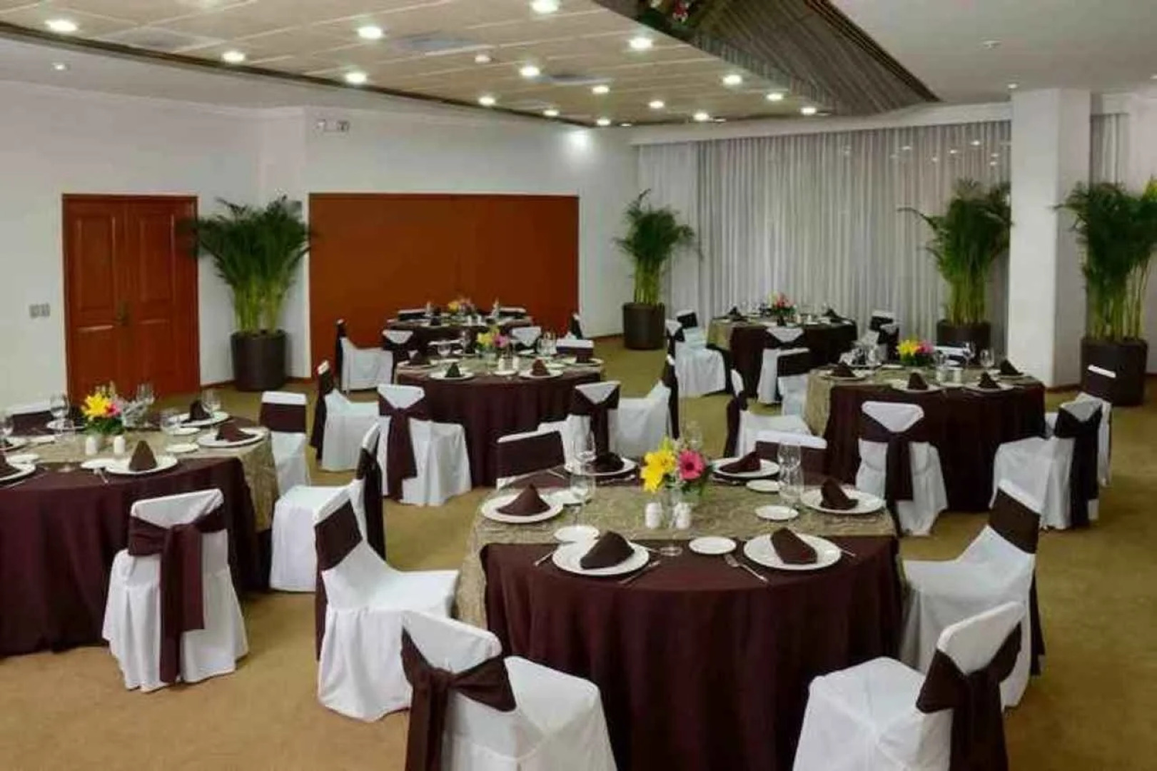 Guadalajara Plaza Expo Business Class