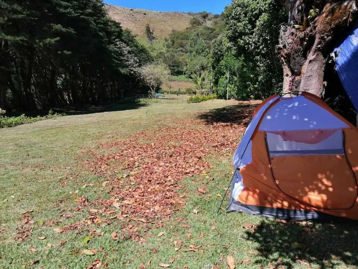 Sofi's Hostel Monteverde