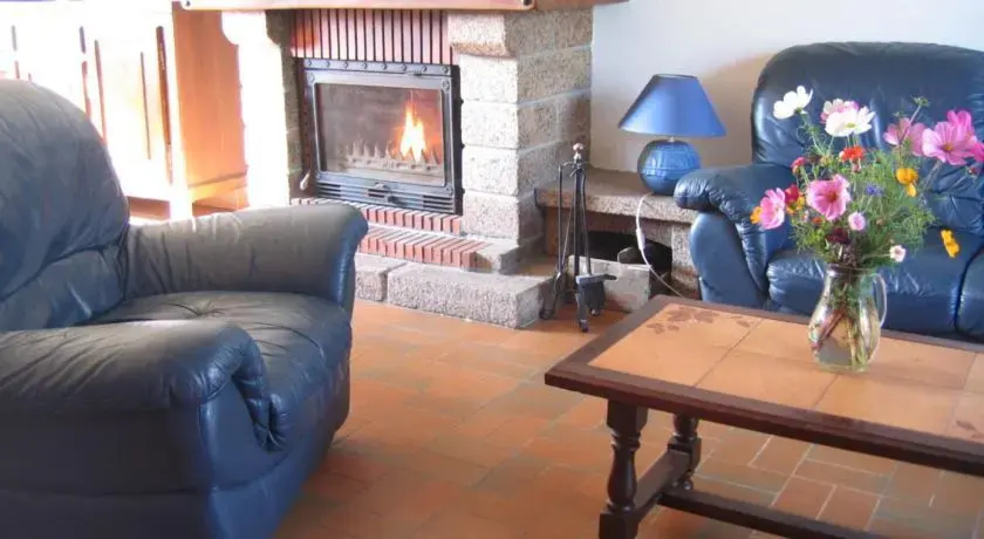 Gîte Les Hortensias