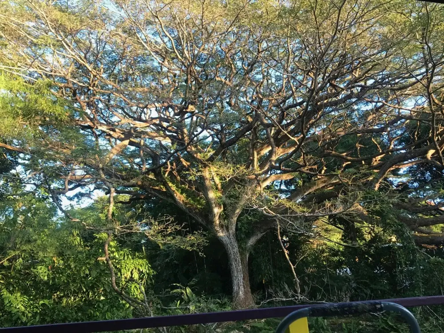 SweetSpotStay-Enchanted Grotto