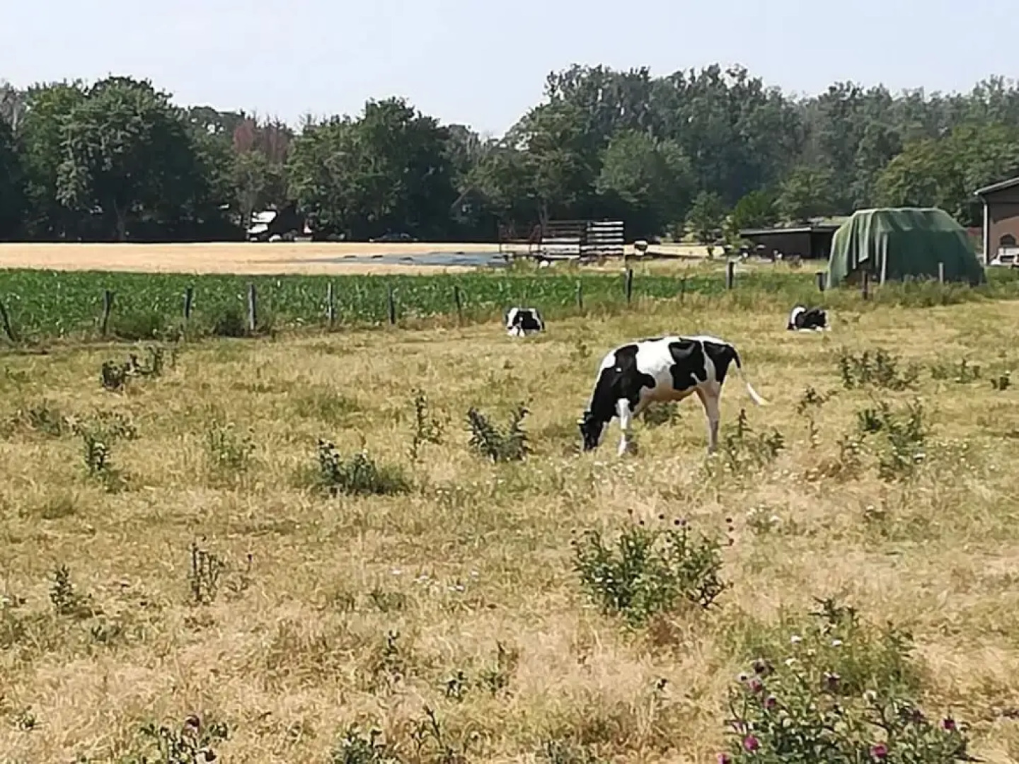 \"the Elf\" Comfortable Holiday Residence