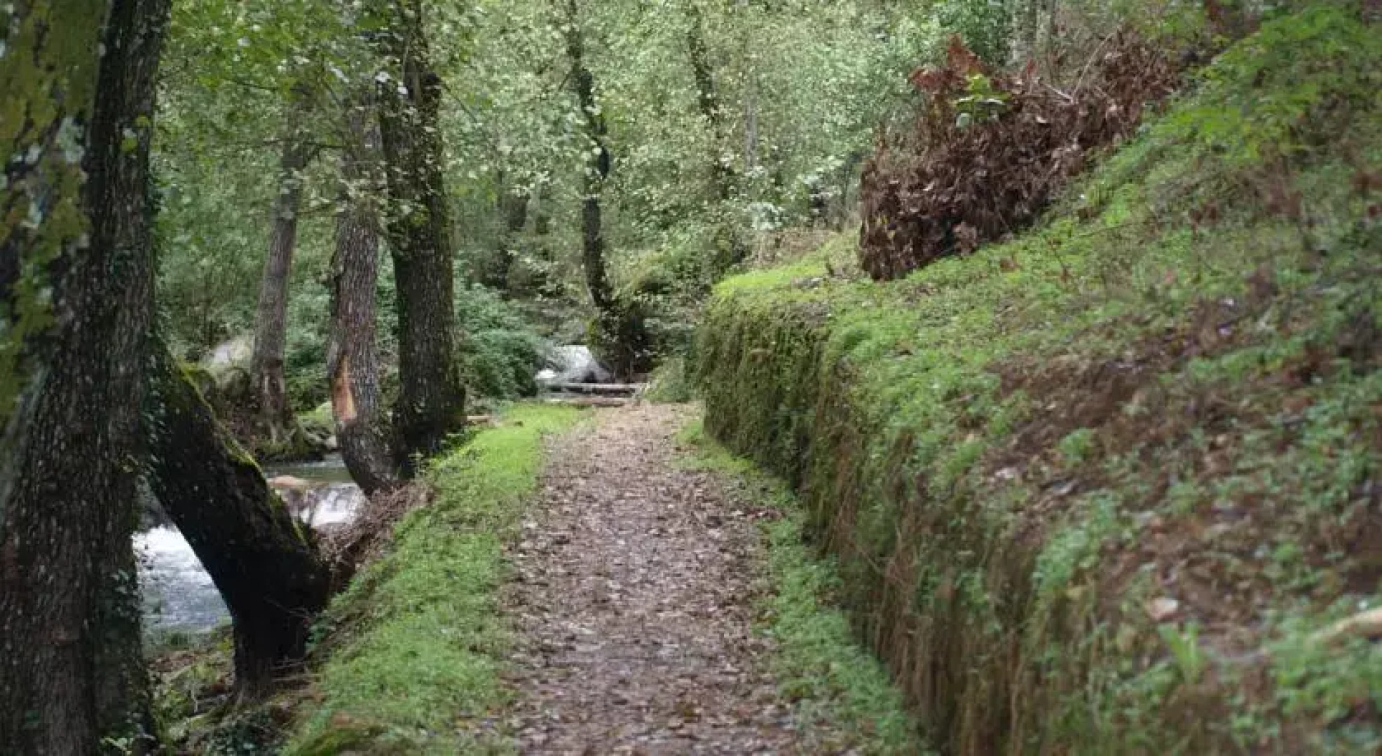 Casa rural El Olivar del Duque
