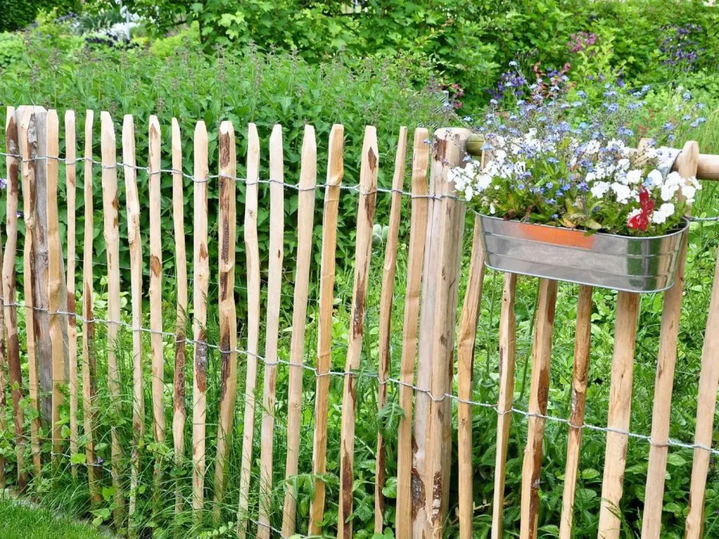 Ferienhaus Sonneneck