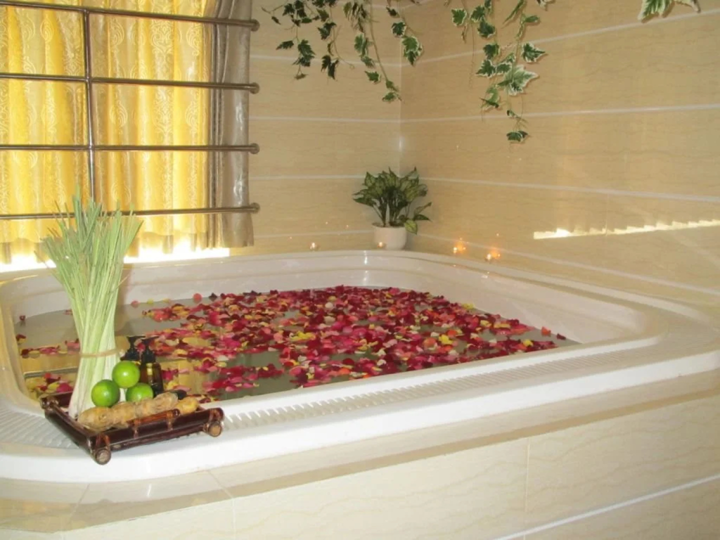 Viet Uc Hotel