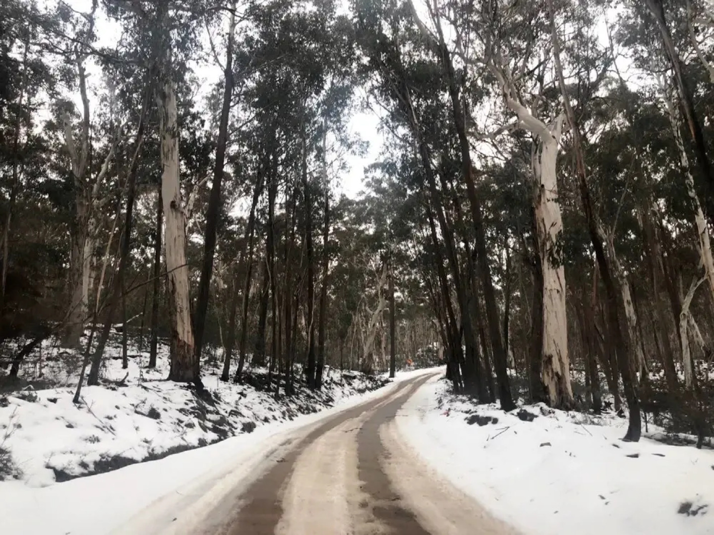 Snowy Mountains Resort and Function Centre
