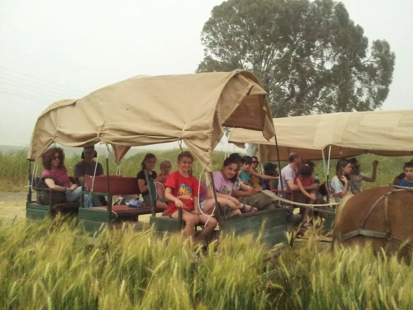 Degania B Country lodging