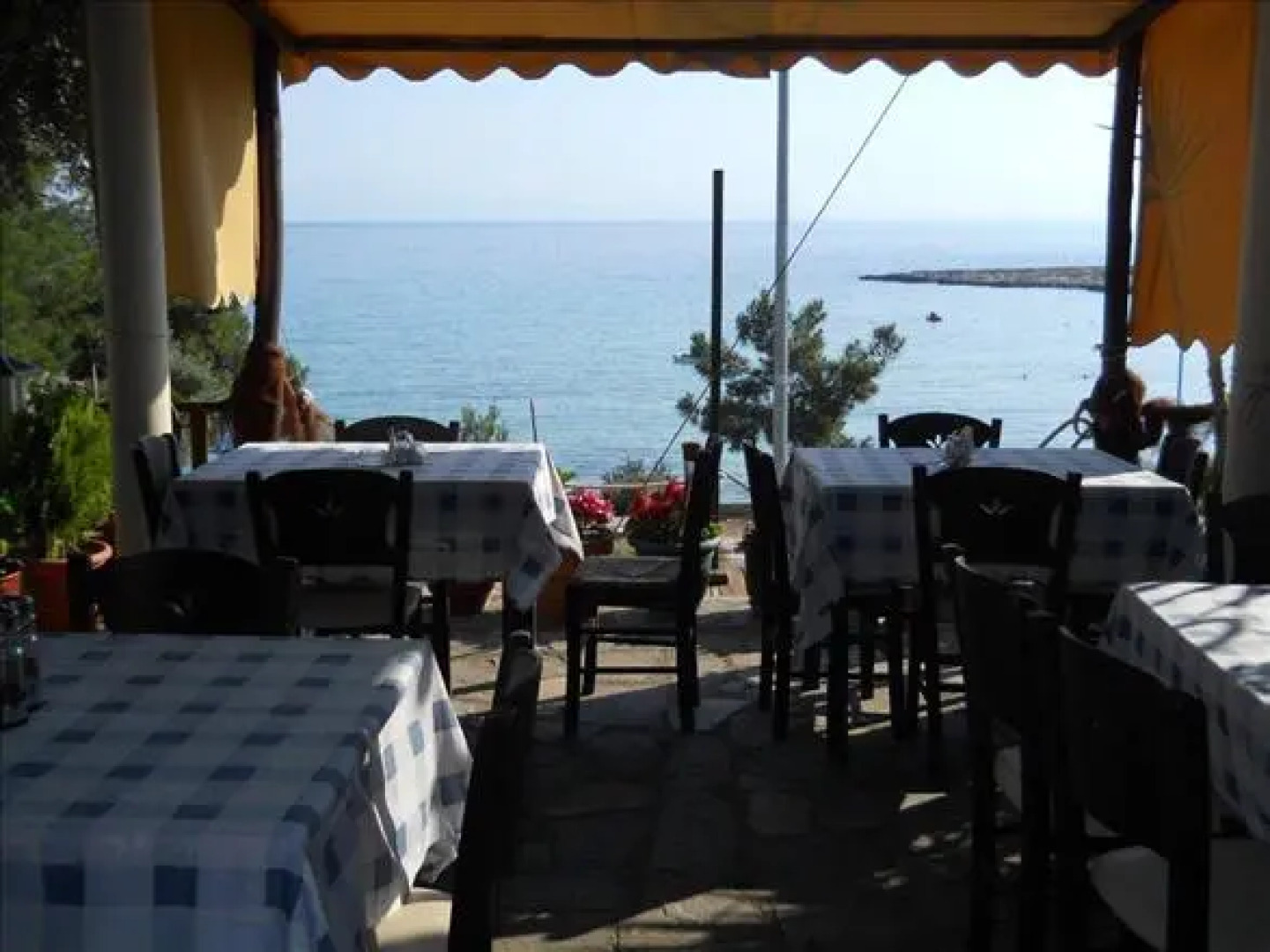 Thassos Grand Villas Apartments &Studios