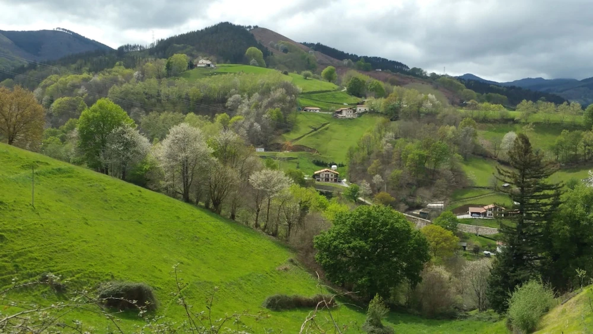 Rural House Pikukoborda