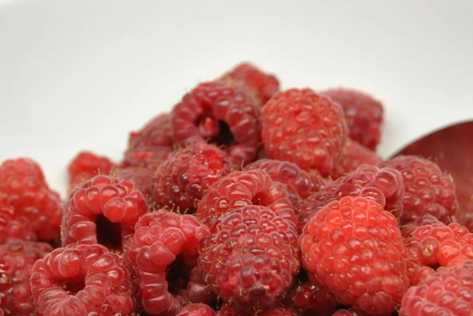 Hotel Sailing Center