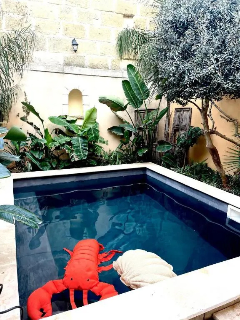 La Maison du Trident en Camargue Piscine et Jacuzzi