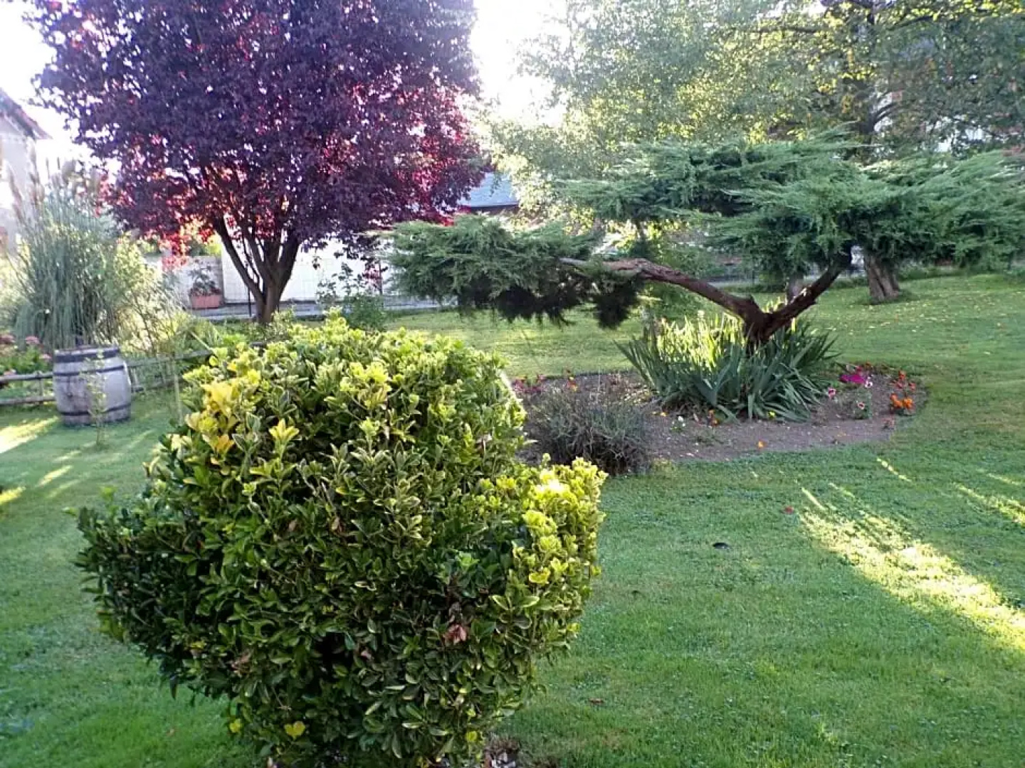 Le clos des roses