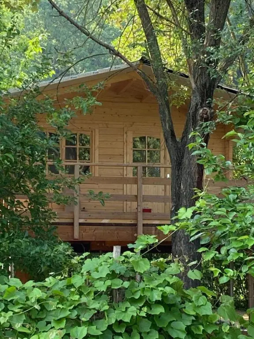 Room in Studio - Casa sullalbero Rural eco