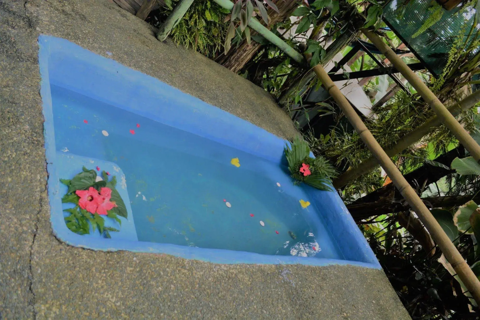 The Lookout Inn Lodge