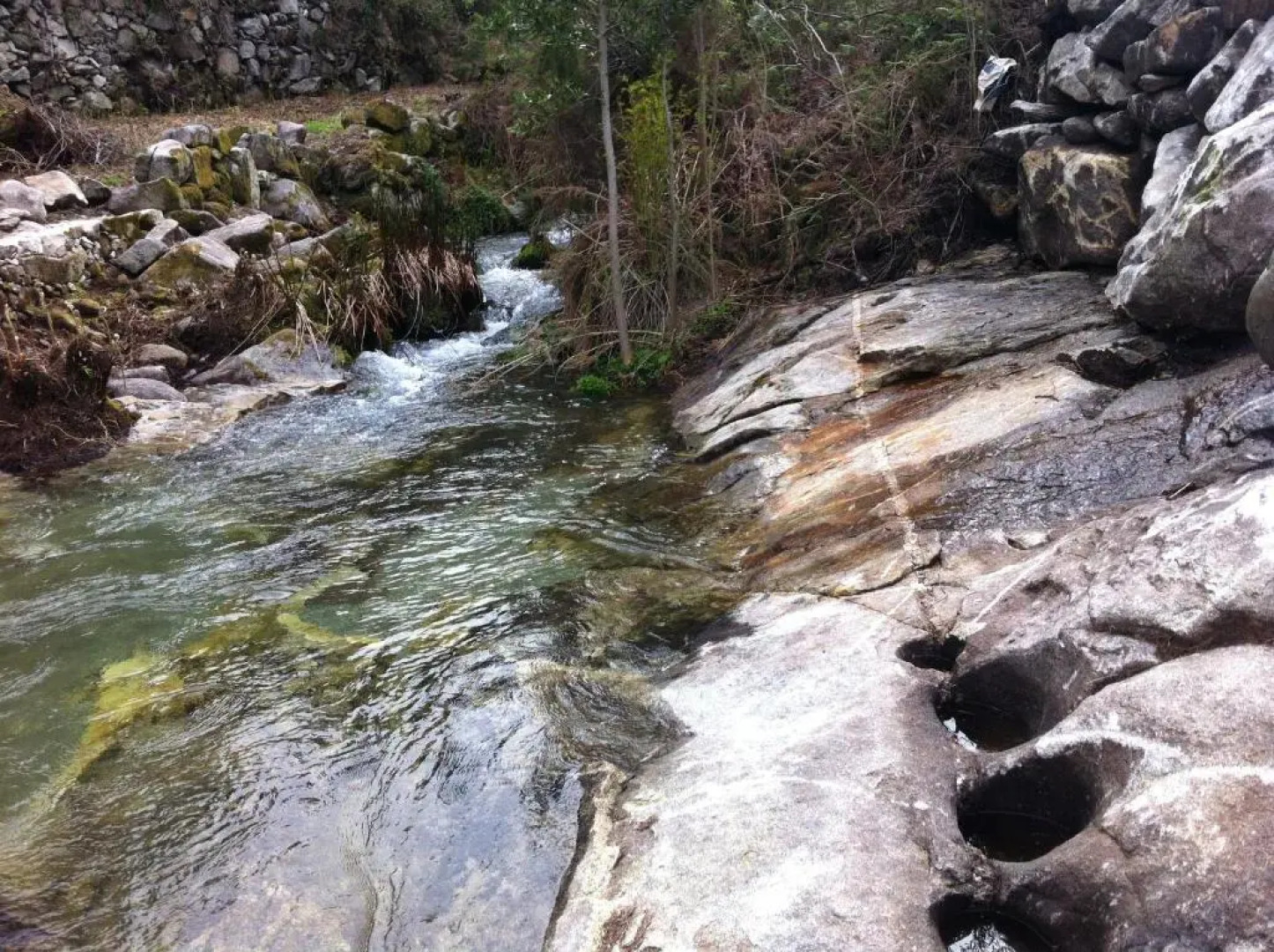 Quinta Porto dos Lobos