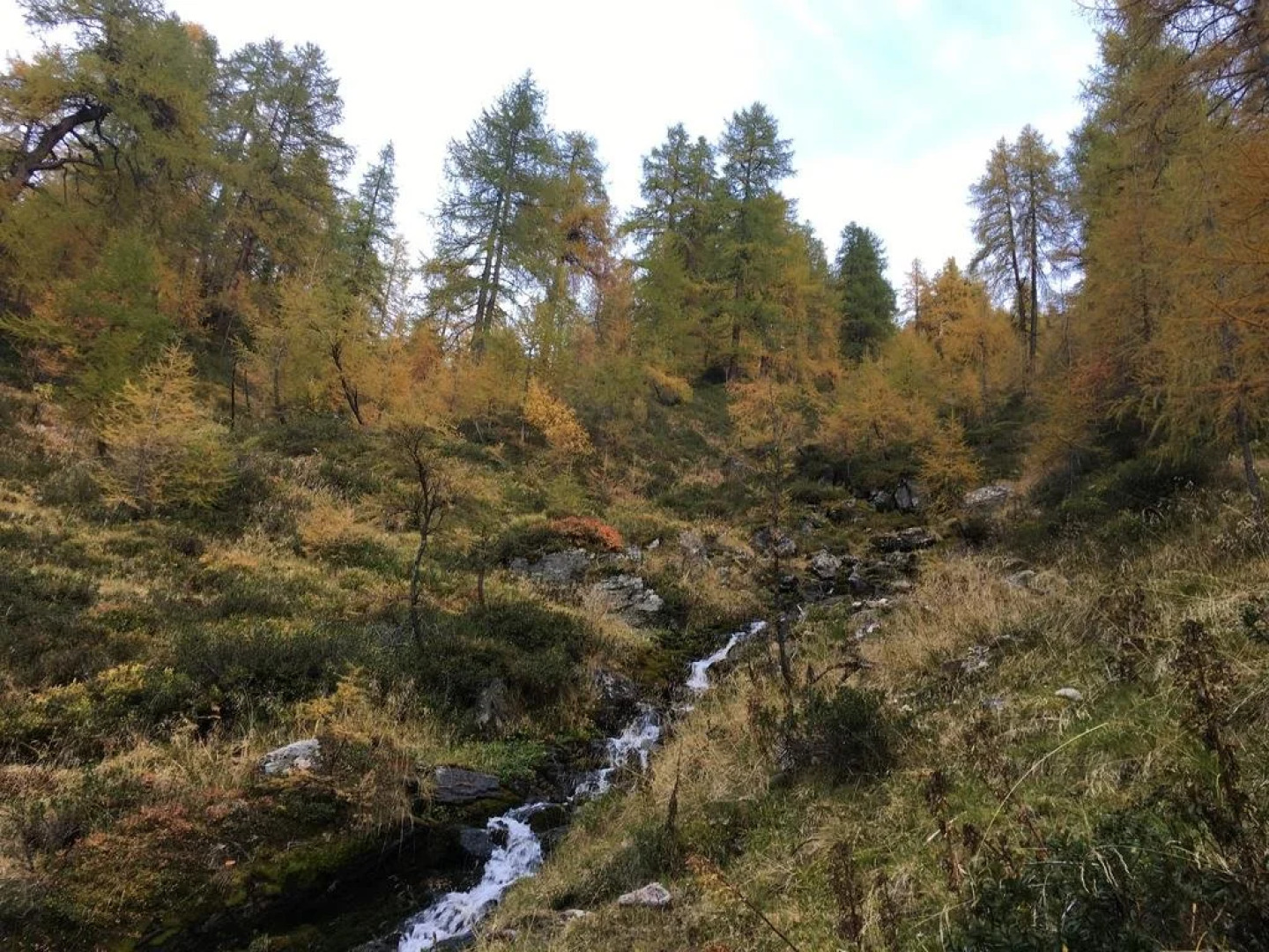 Appartements Rosmarie