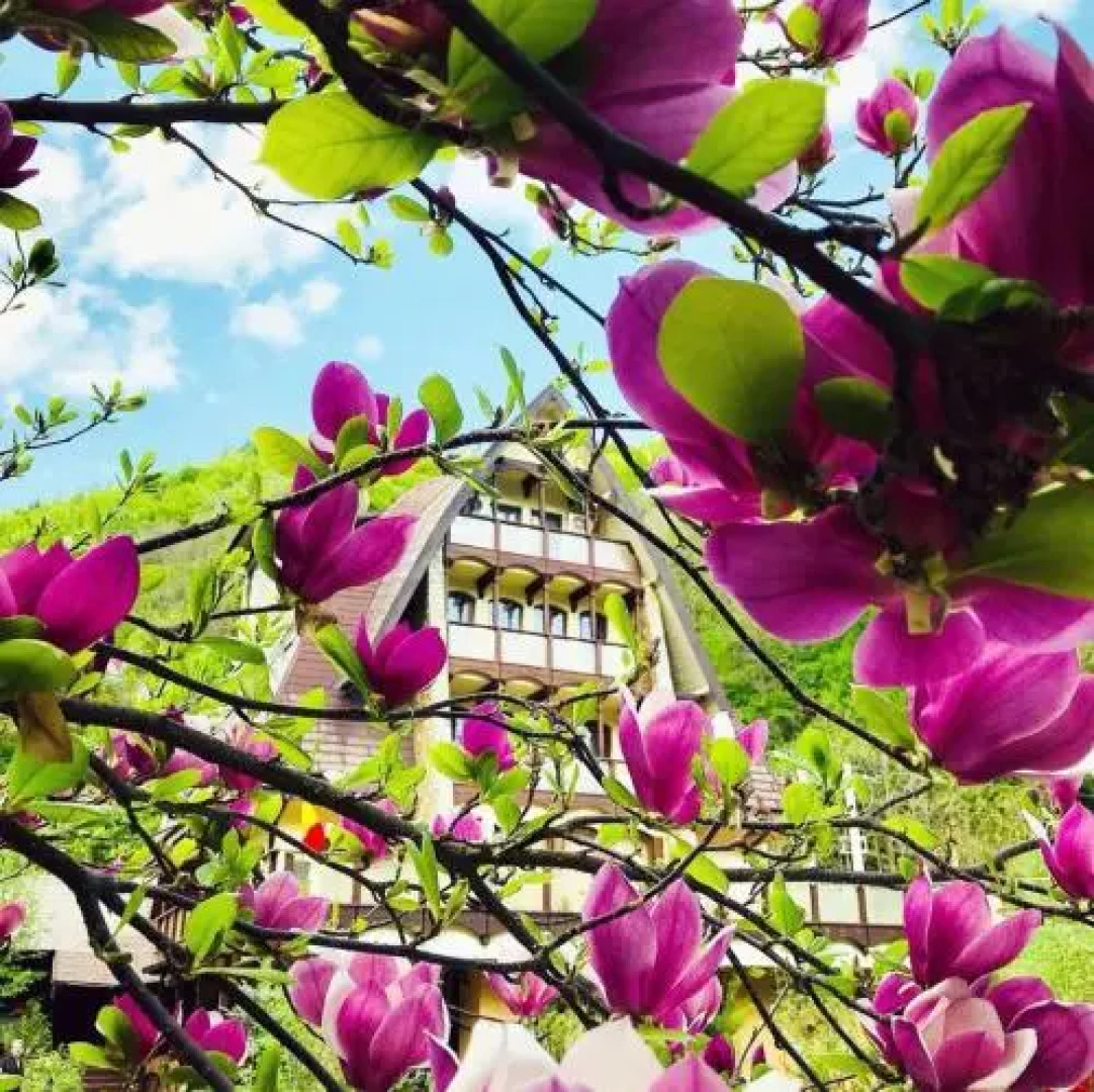 Pension Casa Vanatorilor